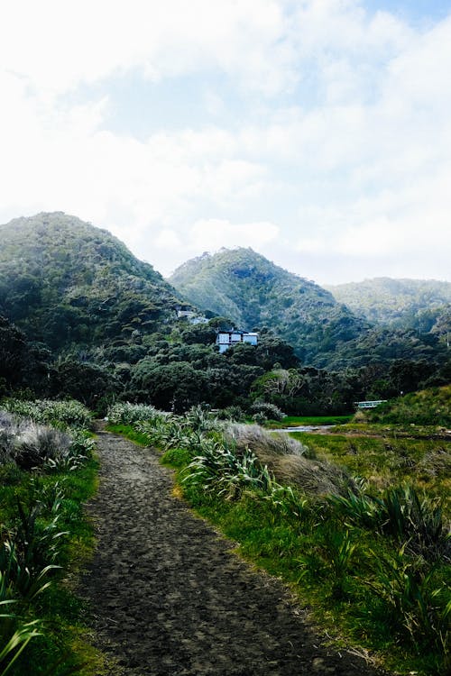 Pathway Leading to the Hills