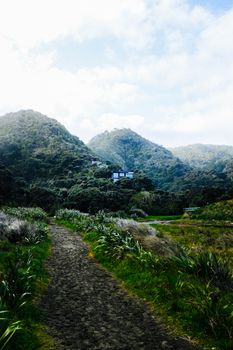 夏日多云，天空下一条风景如画的未铺砌道路蜿蜒伸展，四周郁郁葱葱的树叶与青翠山丘环绕