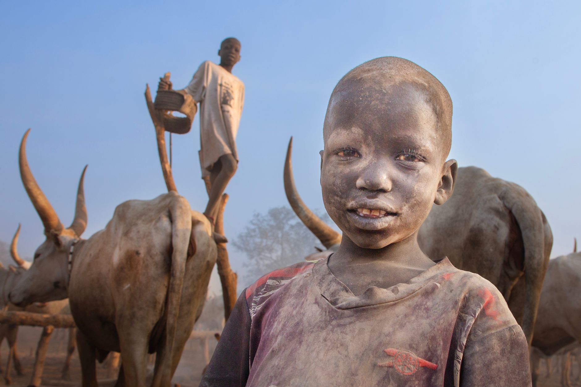 Close-up of a child among cattle in an African rural setting with a person in the background.