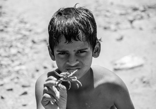 Black and white photo of a boy holding a crab, showcasing nature exploration.