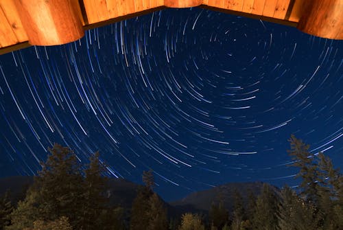 Time Lapse Photography of Stars Above Green Trees during Night Time