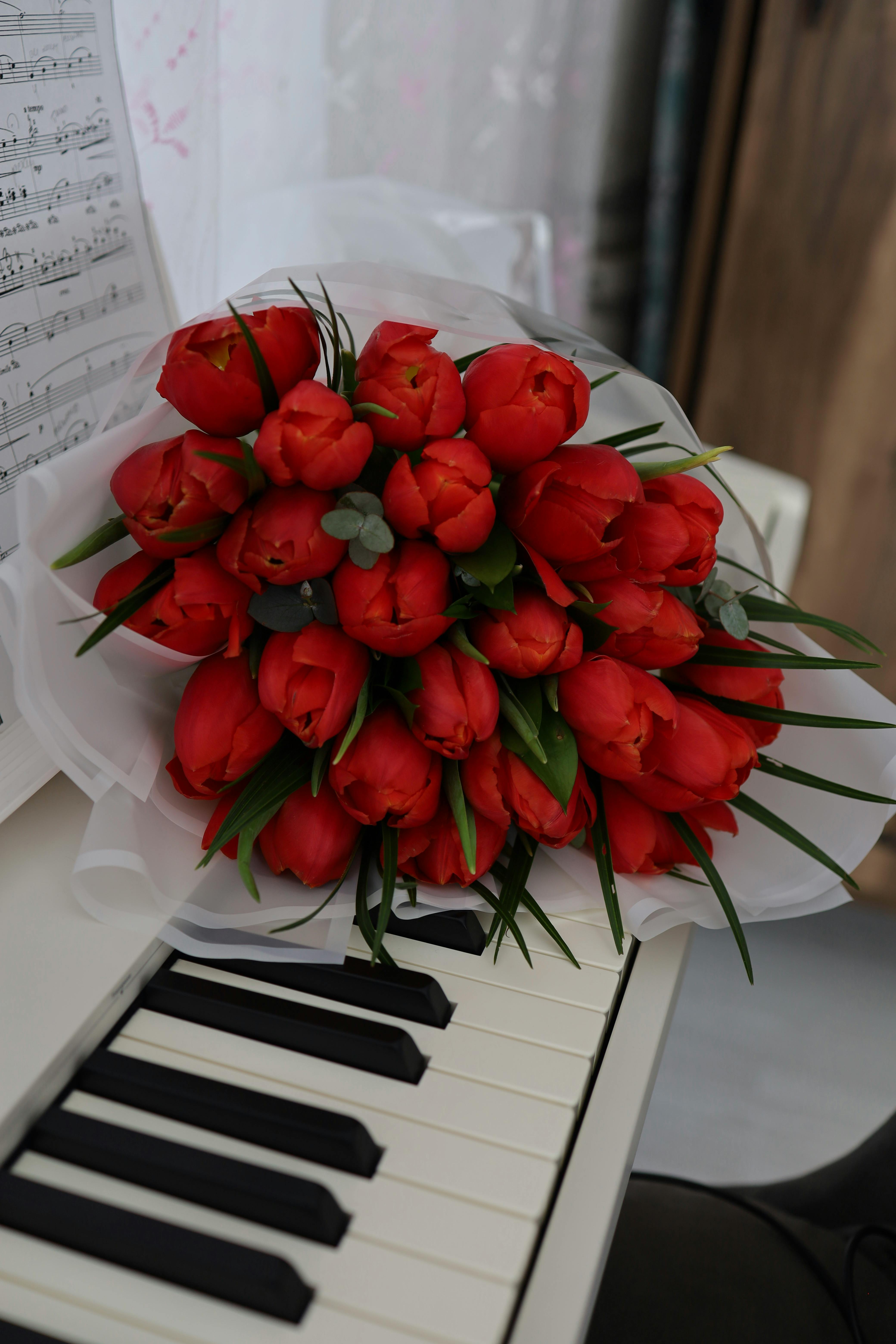 [ColoSach]-a-striking-bouquet-of-red-tulips-resting-on-a-piano-keyboard,-capturing-a-blend-of-music-and-nature's-beauty.