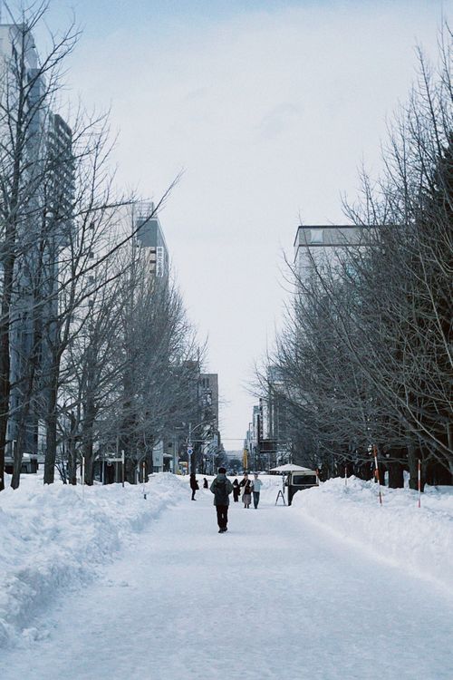 Free Urban winter scene in Sapporo, Japan with people walking through snow-covered street lined with trees. Stock Photo