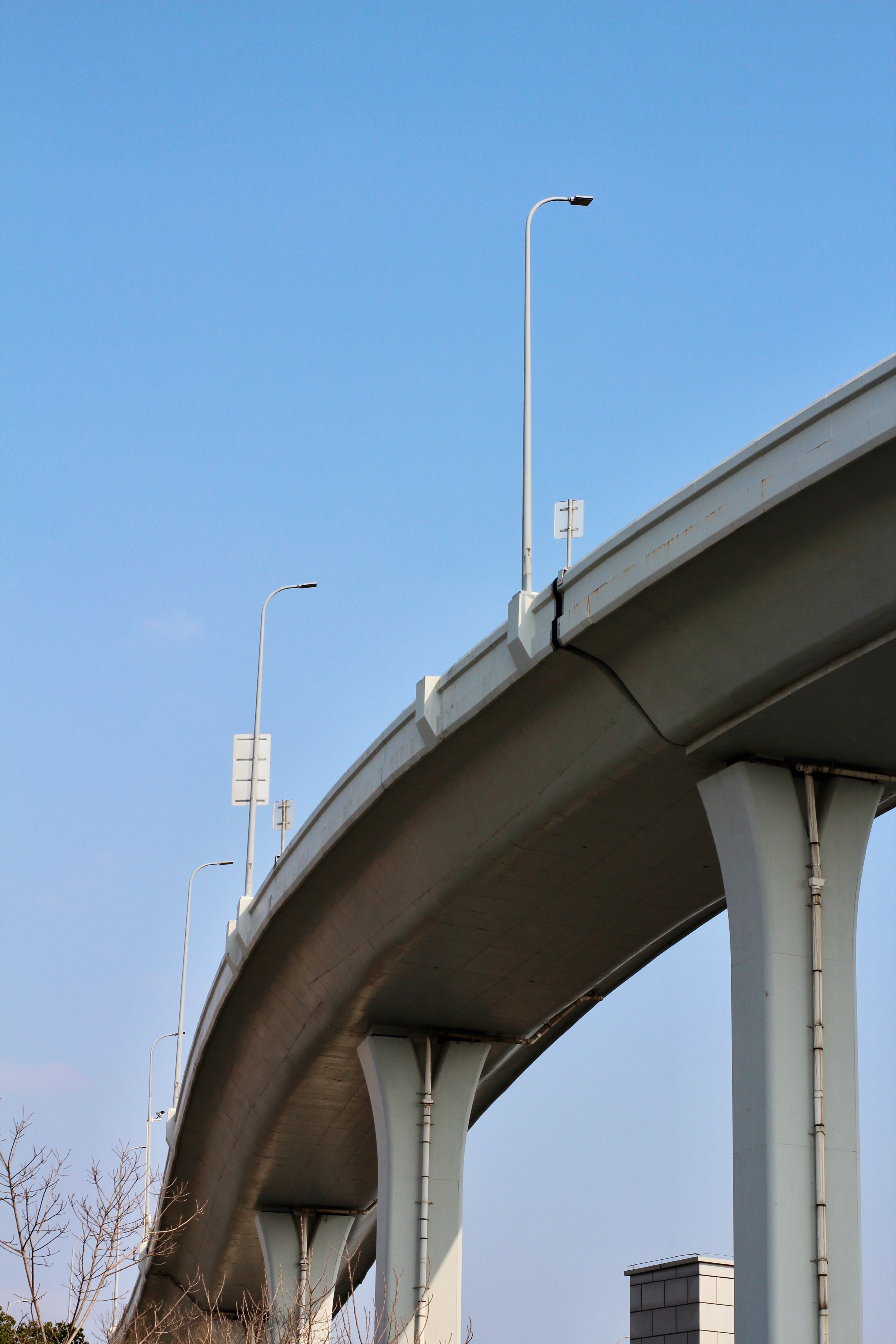 Concrete Columns of a Flyover · Free Stock Photo