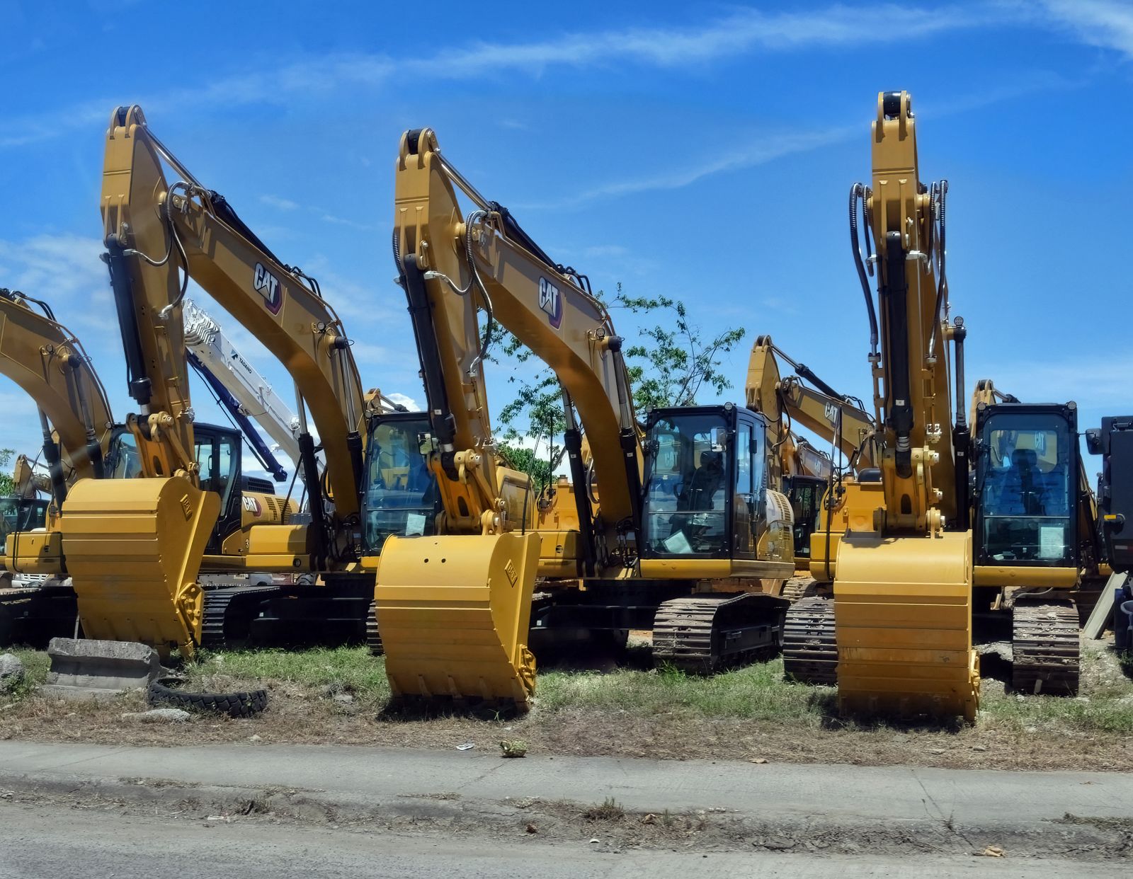 Row of yellow excavators in an equipment yard