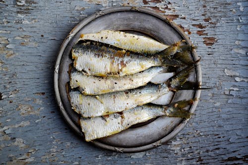 Free stock photo of cuisine, design, fish
