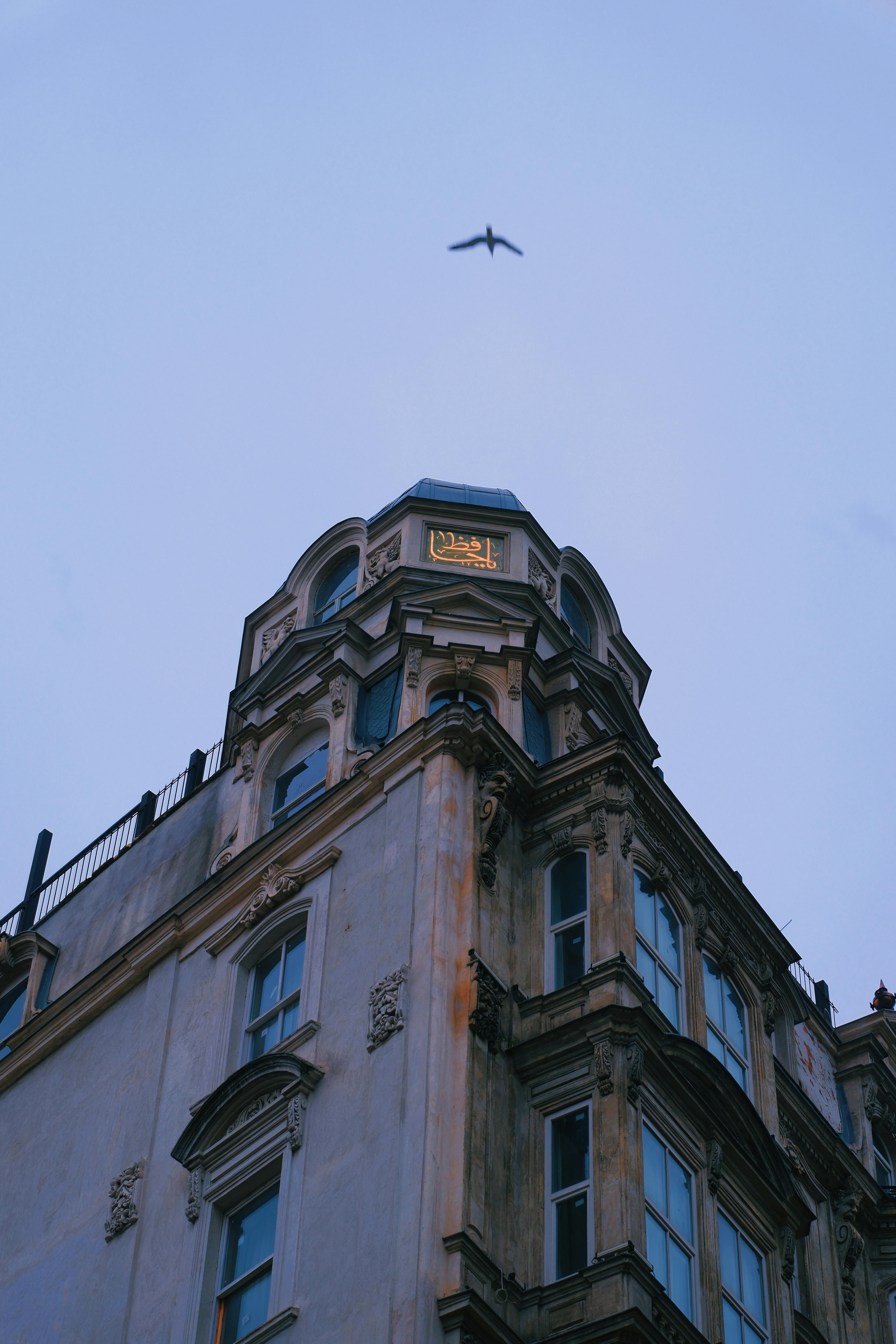 De franc Un edifici històric vist des de baix contra un cel clar amb un ocell volant per sobre. Foto d'estoc