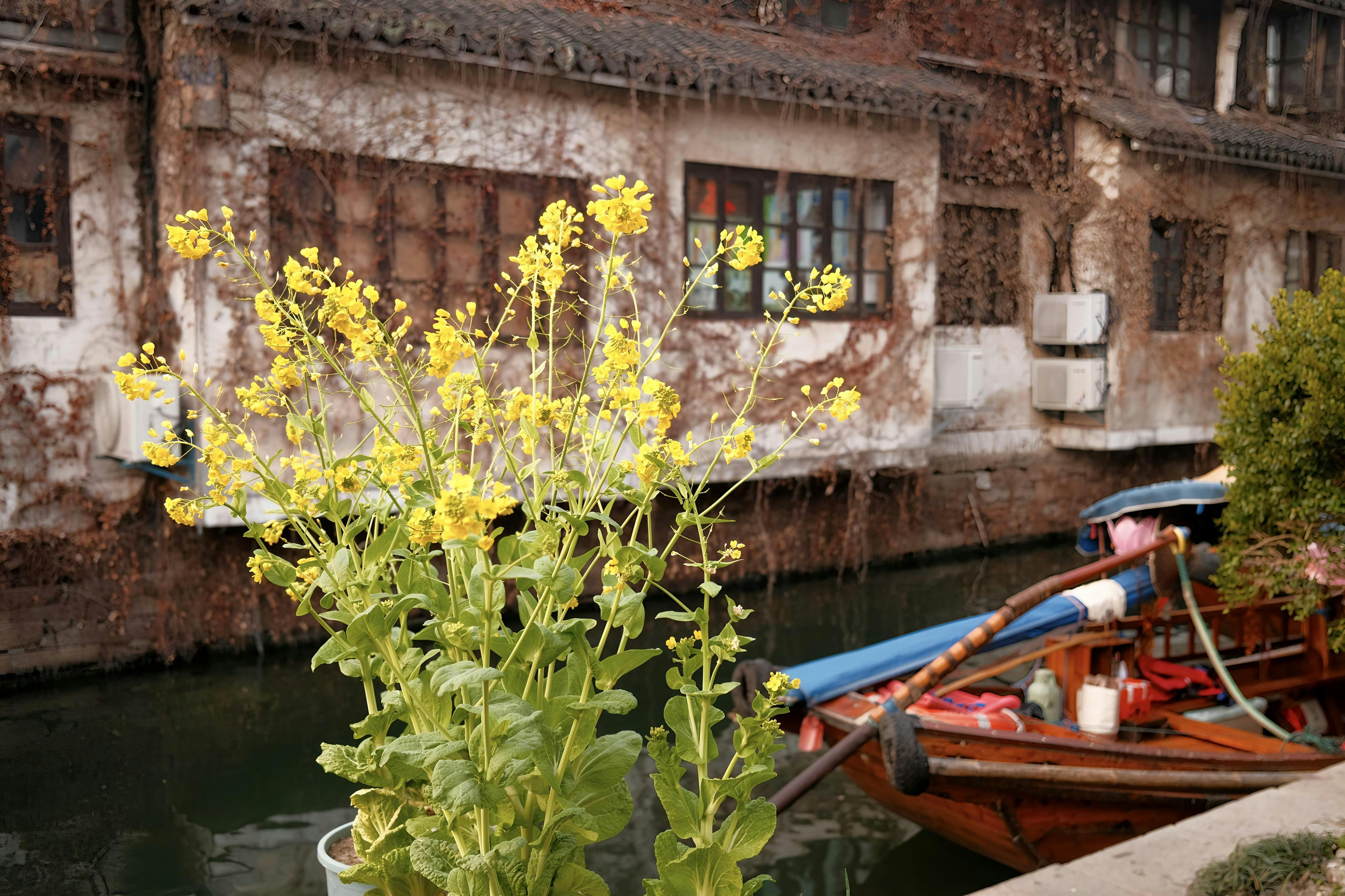 生活：你該知道的台南蘇州采之齋，百年手作家鄉味的傳承