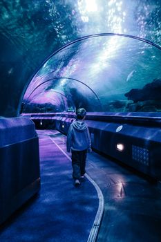 A child walks through an illuminated underwater tunnel in an aquarium, surrounded by sea life.