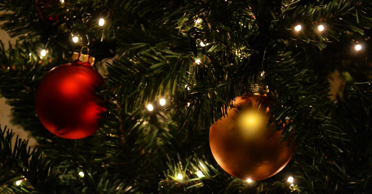 Gold and Red Bauble on Christmas Tree · Free Stock Photo