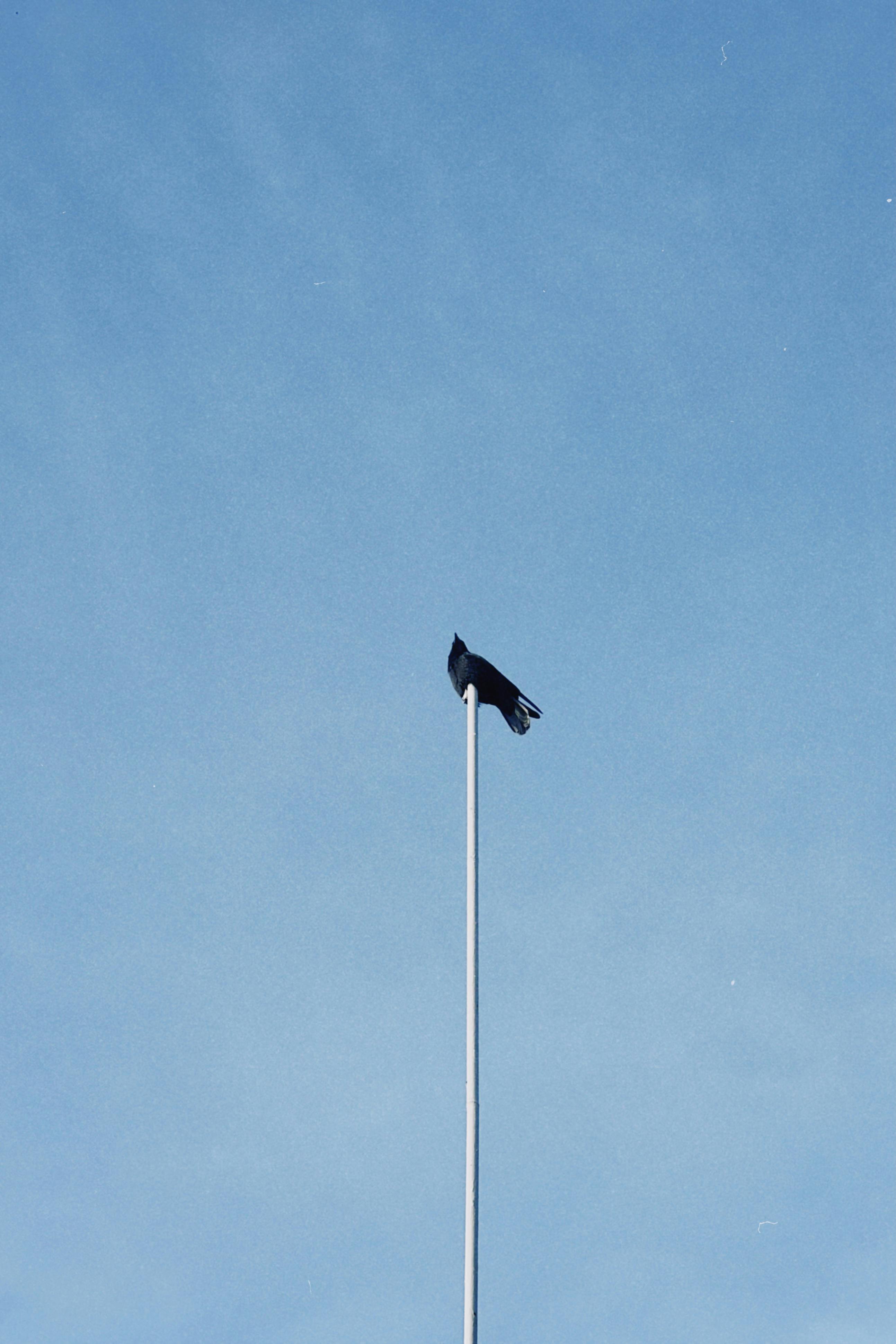 無料 アジア, アルマティ地方, カザフスタンの無料の写真素材 写真素材