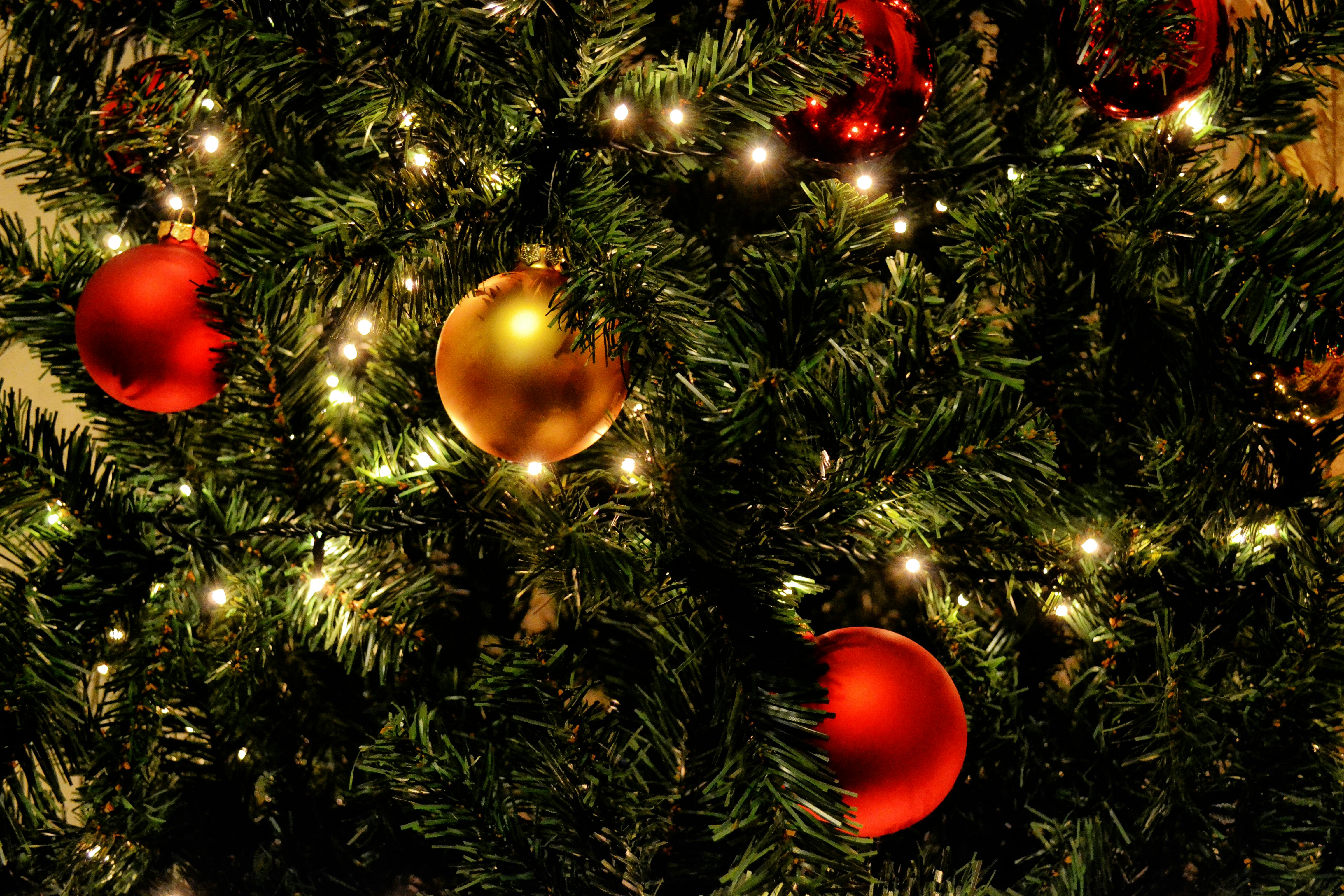 red and green christmas tree background