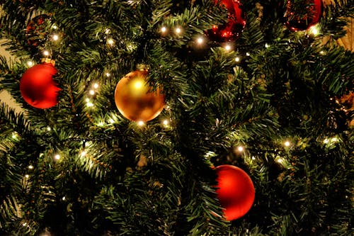 Green Christmas Tree With Red Baubles