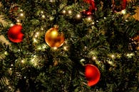 一棵装饰精美的圣诞树特写，上面点缀着红色和金色的装饰品和灯光