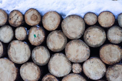Brown Wooden Logs Covered With Snow