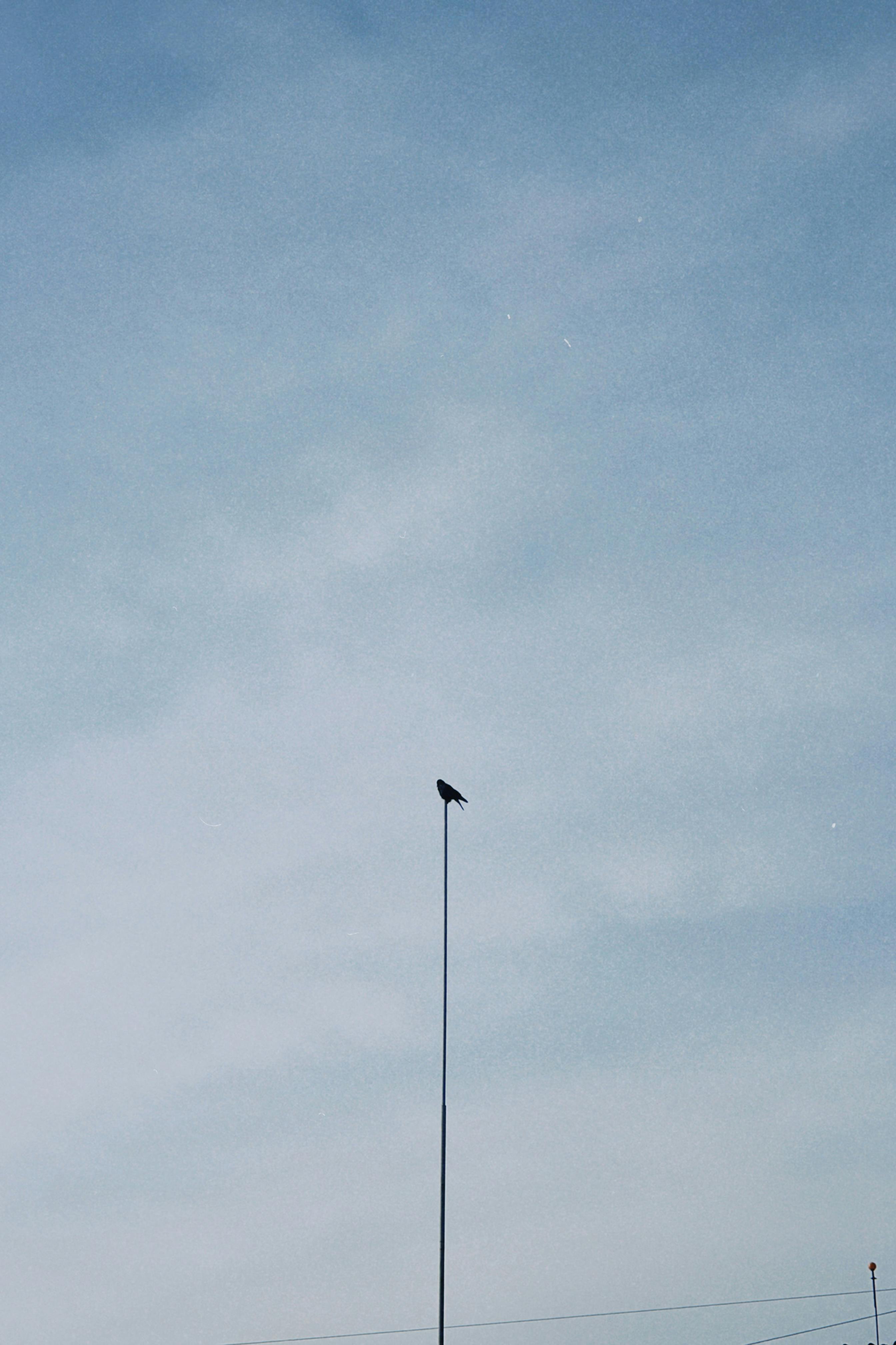 grátis Um pássaro solitário pousa em uma antena contra um vasto céu azul em Konaev, Cazaquistão. Foto profissional