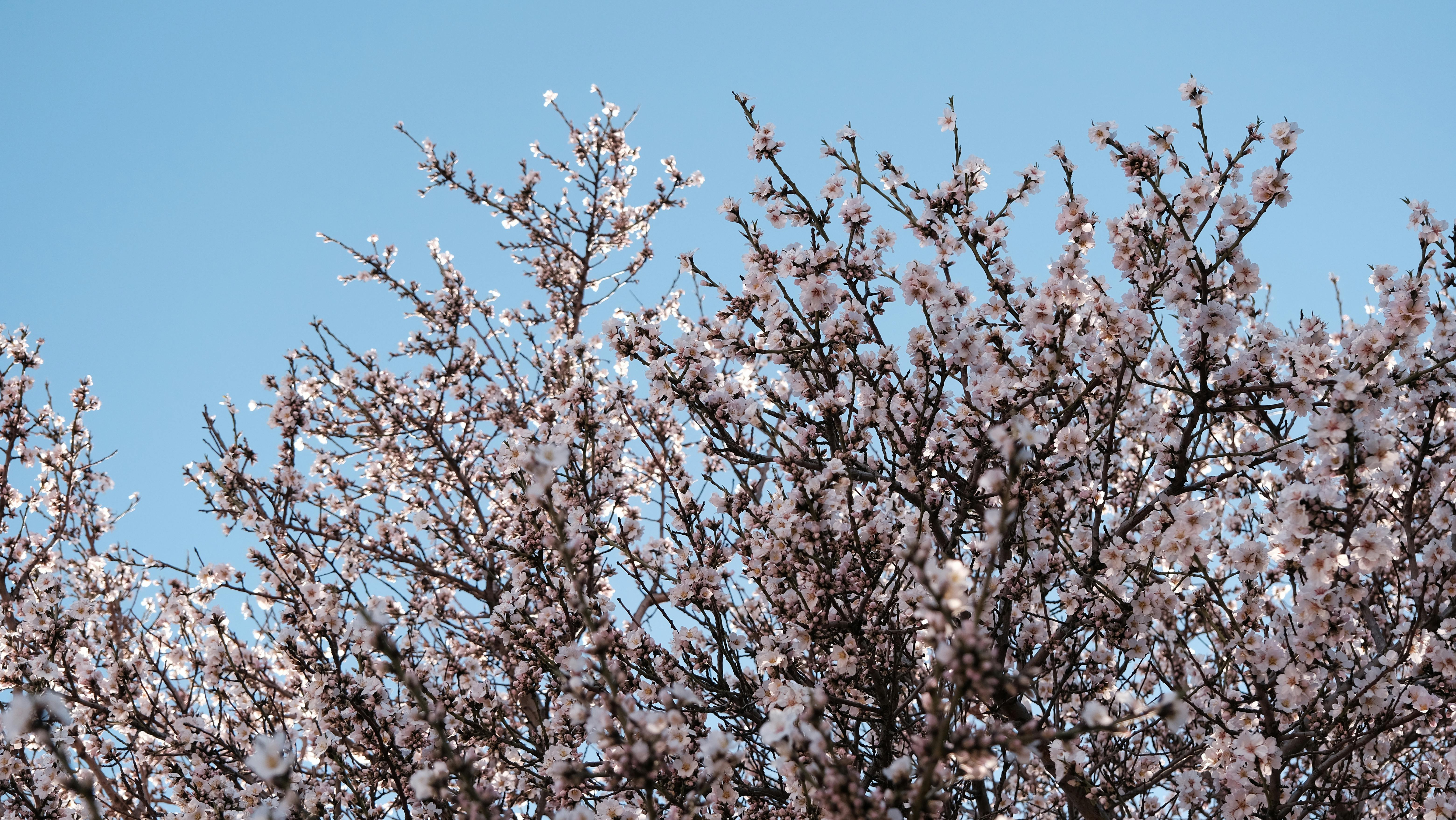 Expert Meal prep containers Recommendations