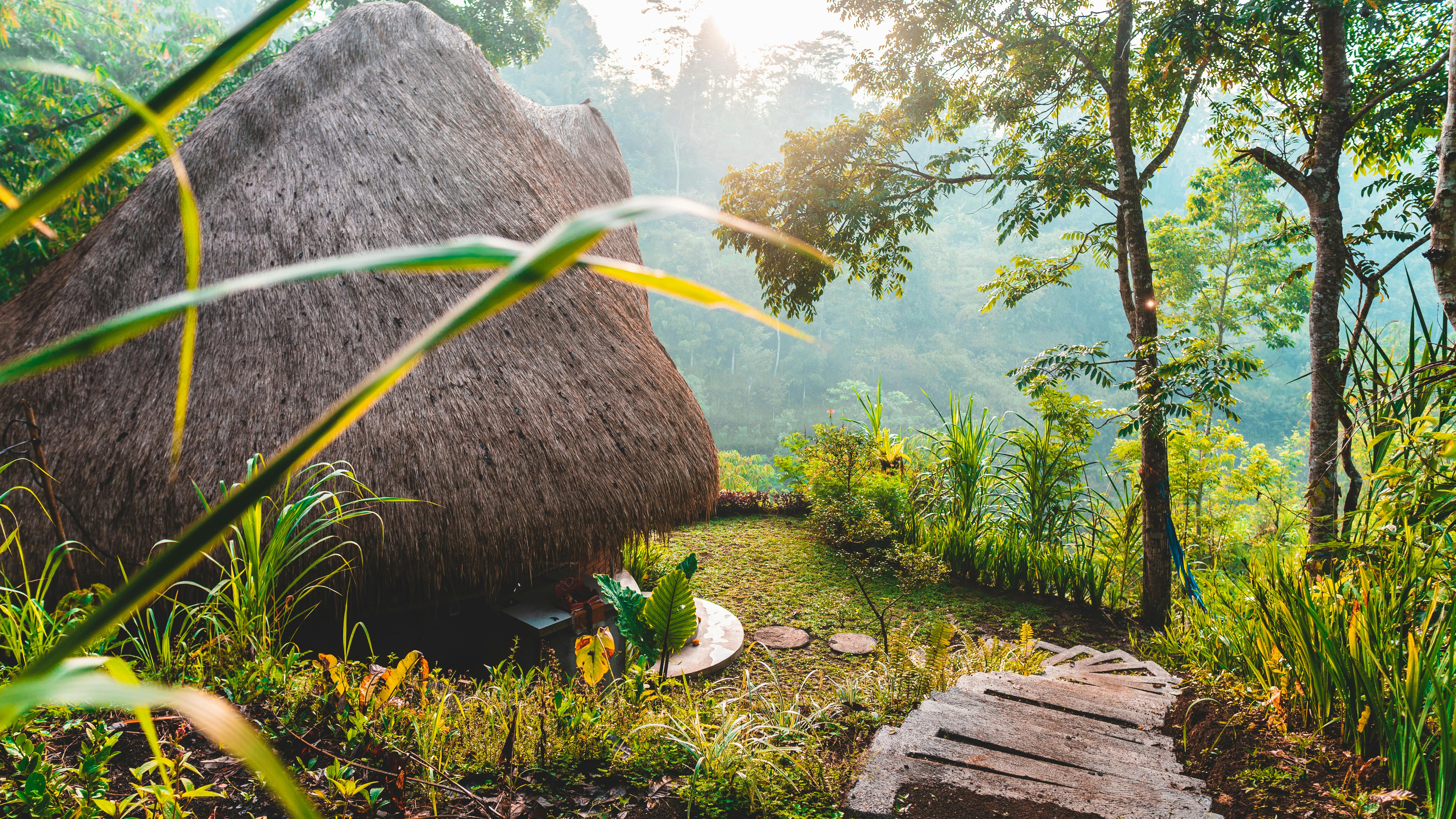 Scenic view of a rustic thatched cottage surrounded by lush tropical greenery in daylight.