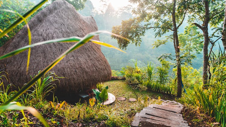 Green Grass And Brown Nipa Hut