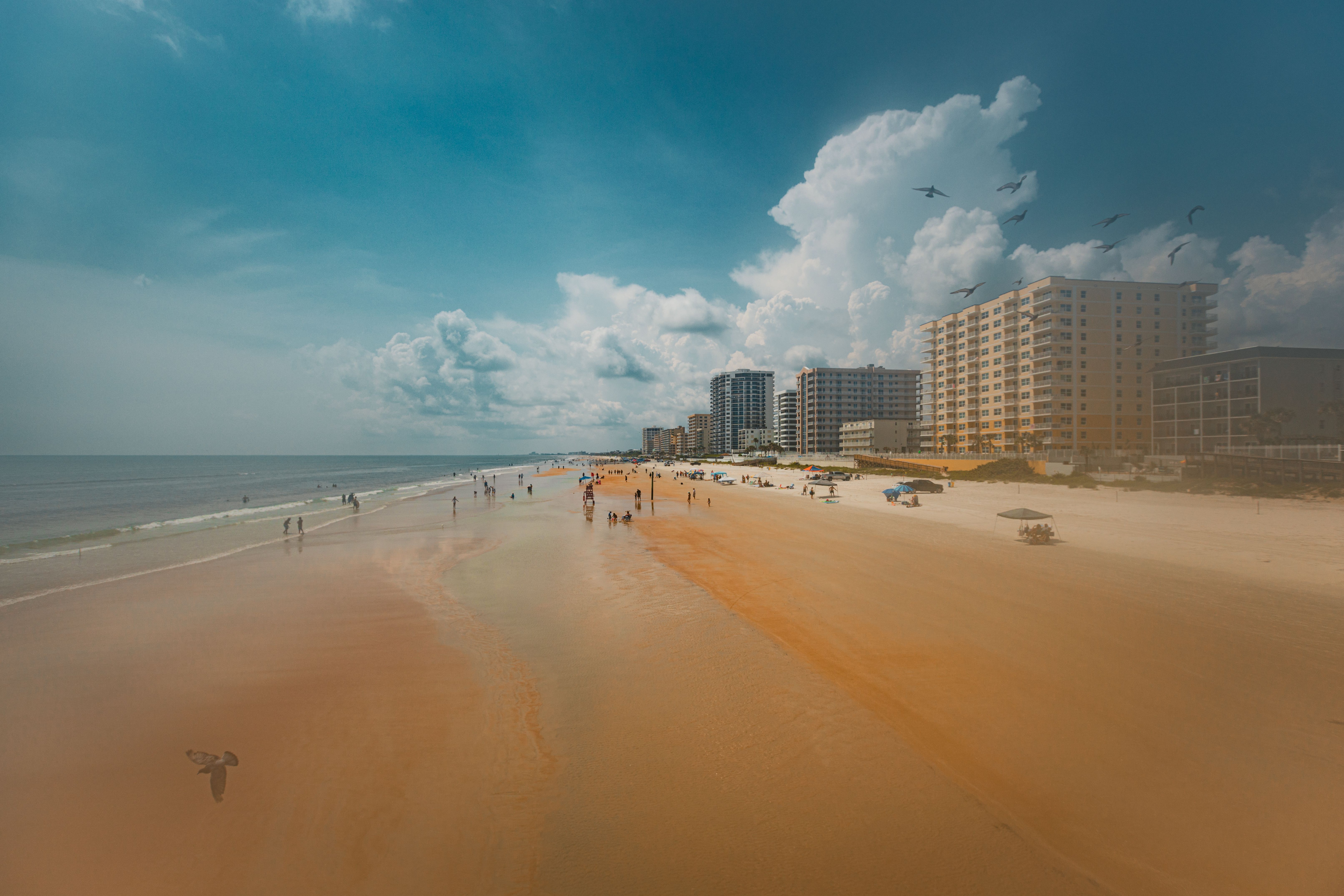 Aerial view of Daytona Beach's sandy shores, hotels, and flying seagulls under a cloudy sky.