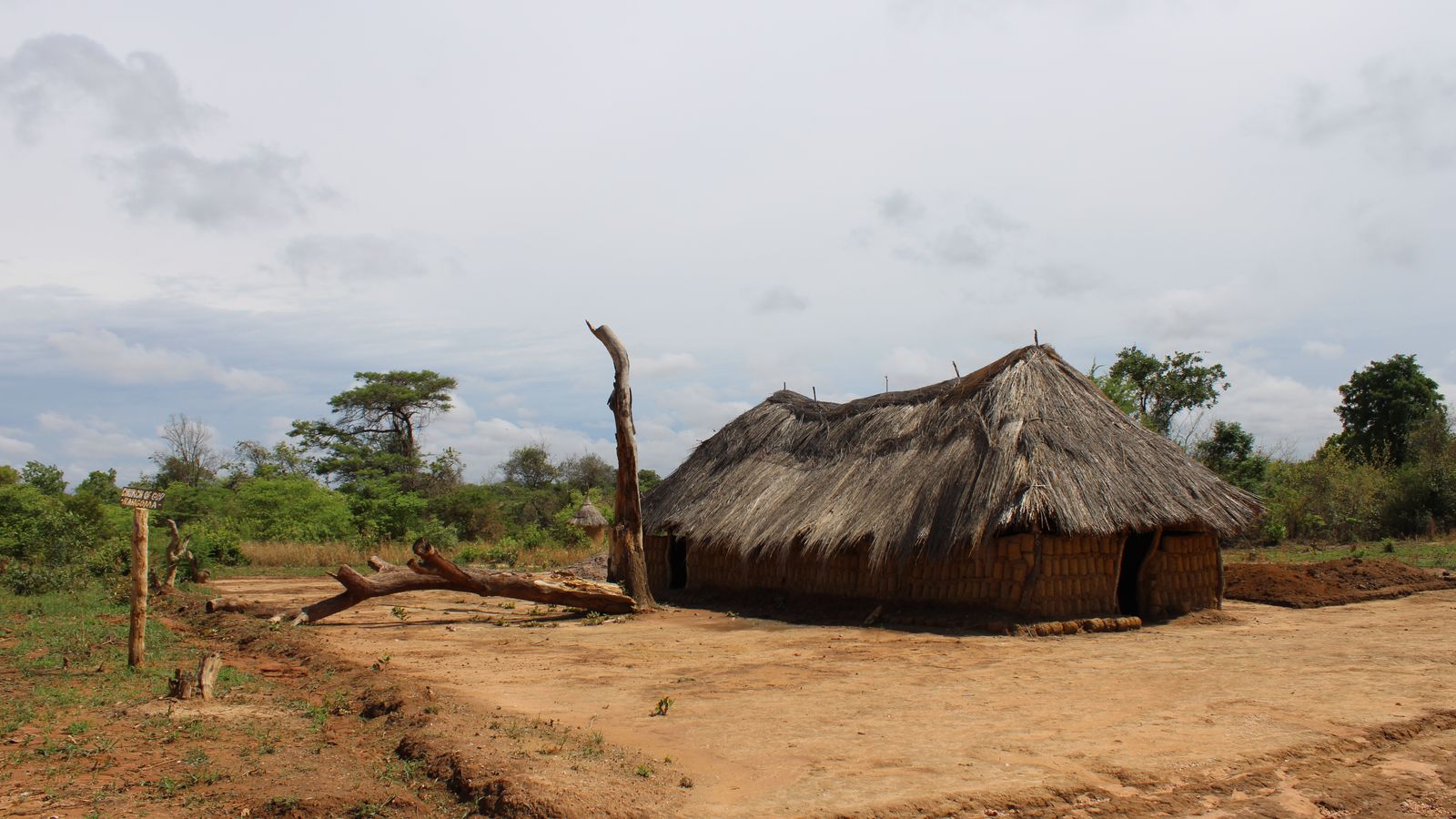 Traditional thatched hut in rural zambia, Guinea-Bissau