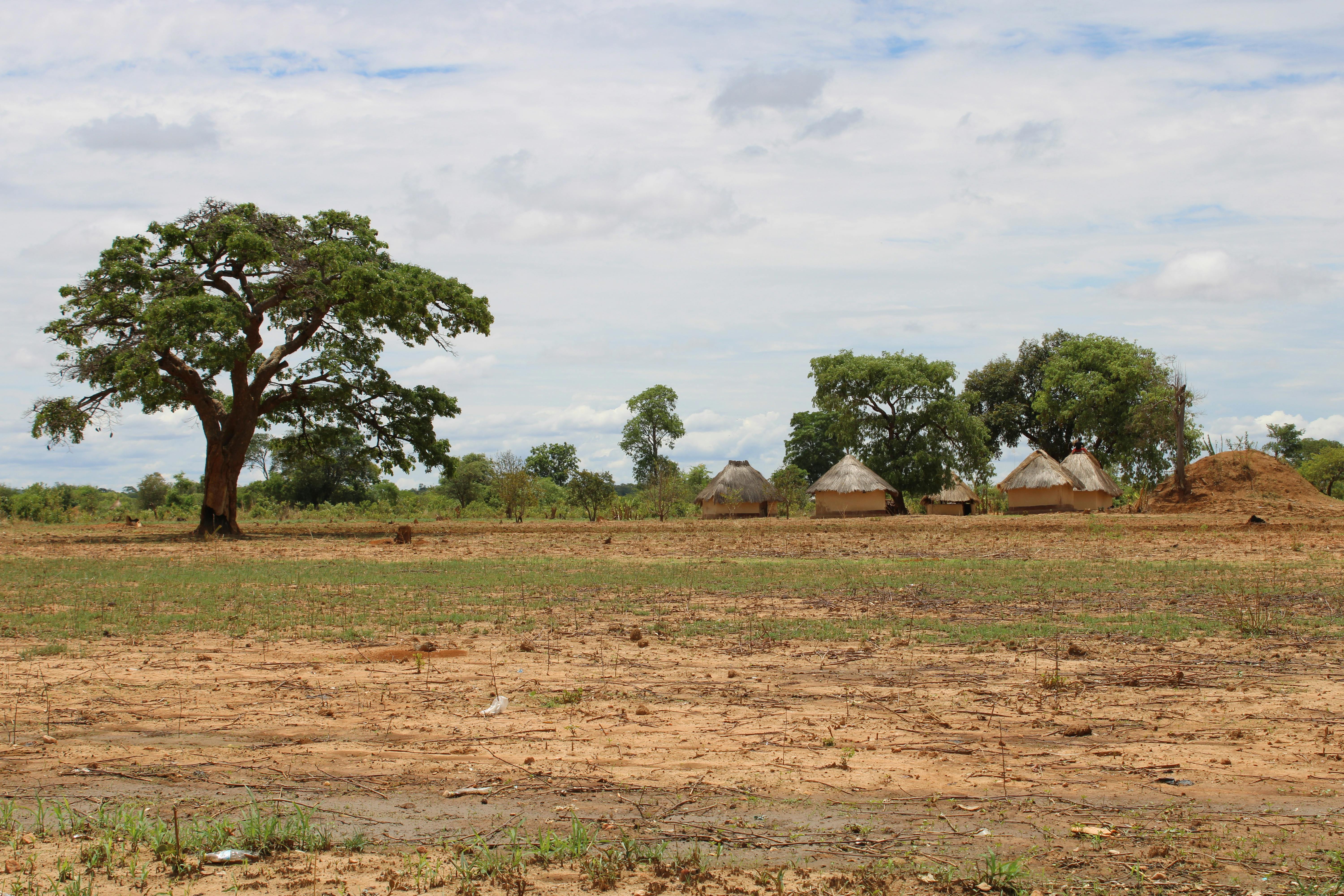 Zambia’s copper smelters plan extended shutdowns