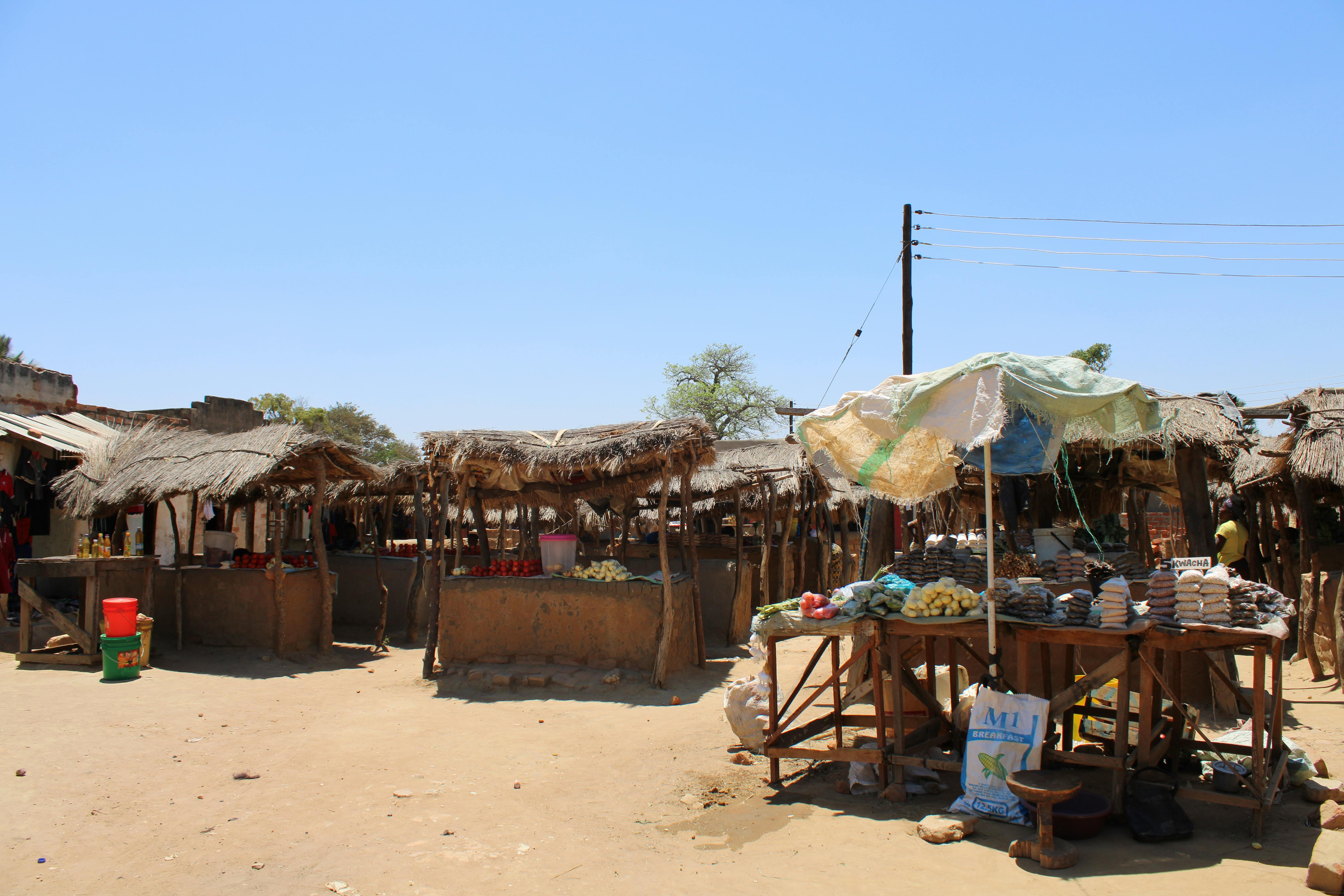 Overview of Egypt-UAE thriving economic relations