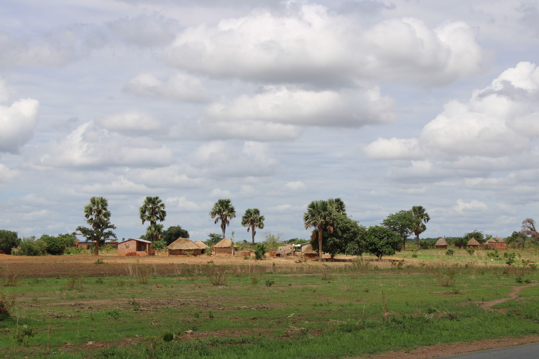 A peaceful village scene with traditional huts and palm trees in rural Zambia under a cloud-filled sky.