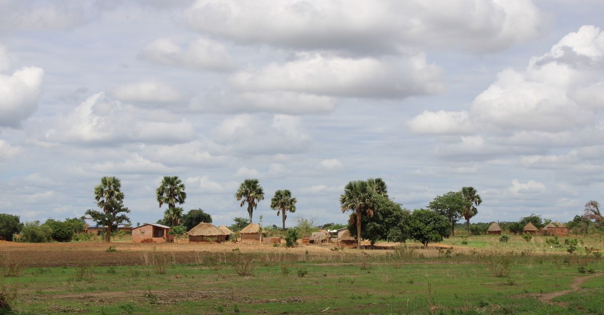 Cómo la agroindustria en Zambia puede generar empleo de calidad y sostenible Cómo la agroindustria en Zambia puede generar empleo de calidad y sostenible