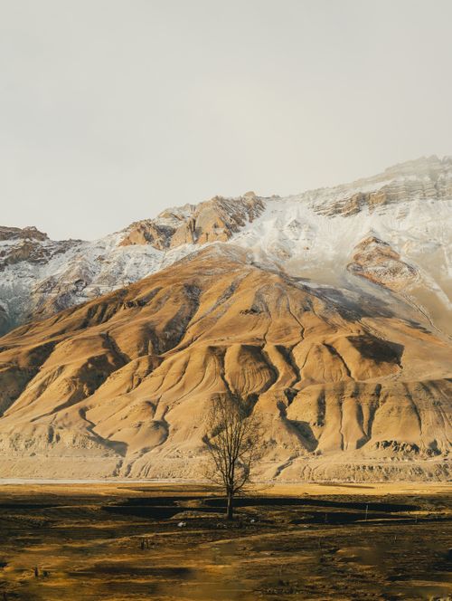 Free A solitary tree stands before majestic snow-draped mountains, capturing nature's stark beauty. Stock Photo