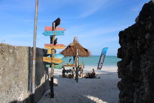 Prison Island giant tortoises — Zanzibar
