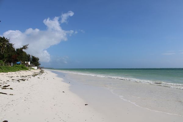 Tropical Indian Ocean beach