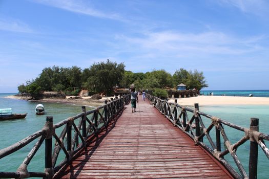Prison Island giant tortoises — Zanzibar