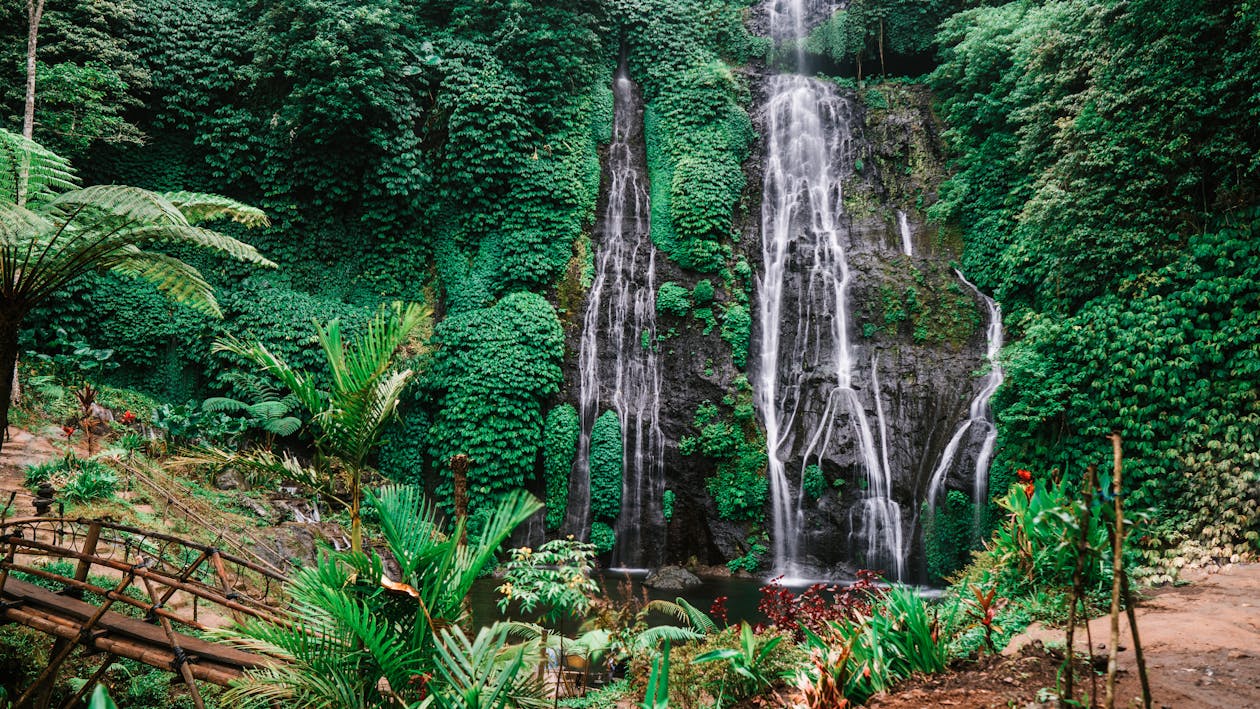 Green Plants Near Waterfalls