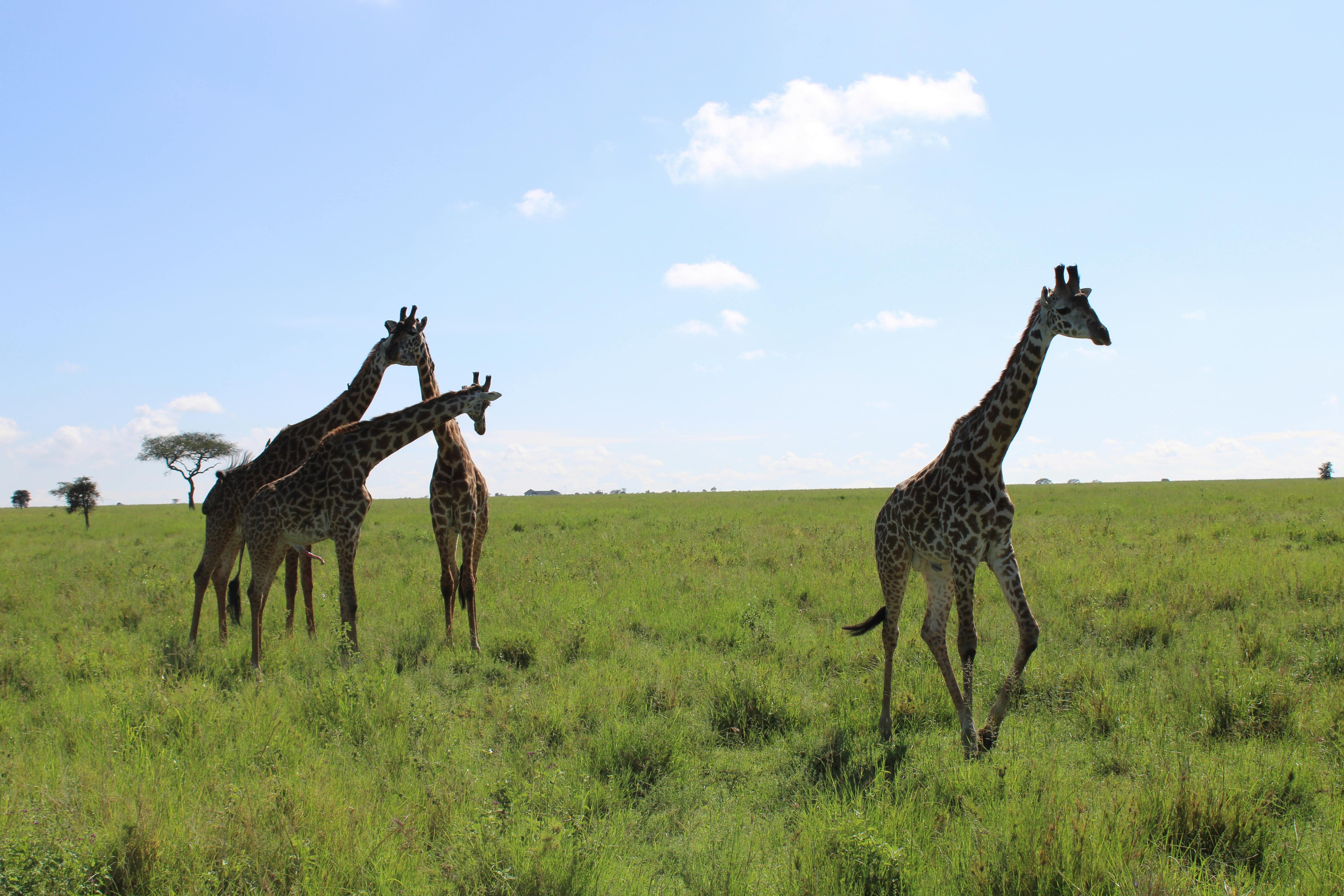 Ikubese urges political office holders to serve, not enri...