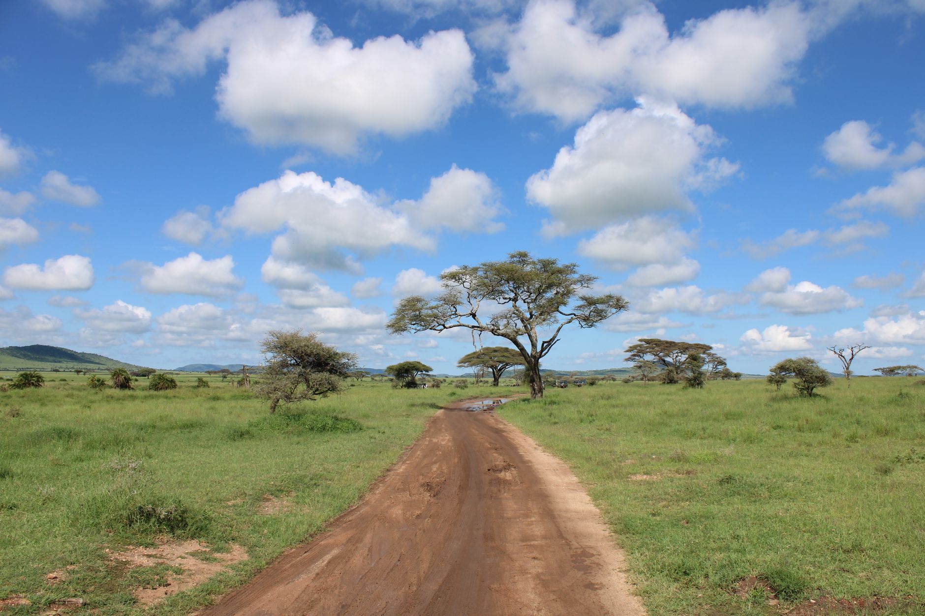 Popular sights in Serengeti Landmarks in Serengeti