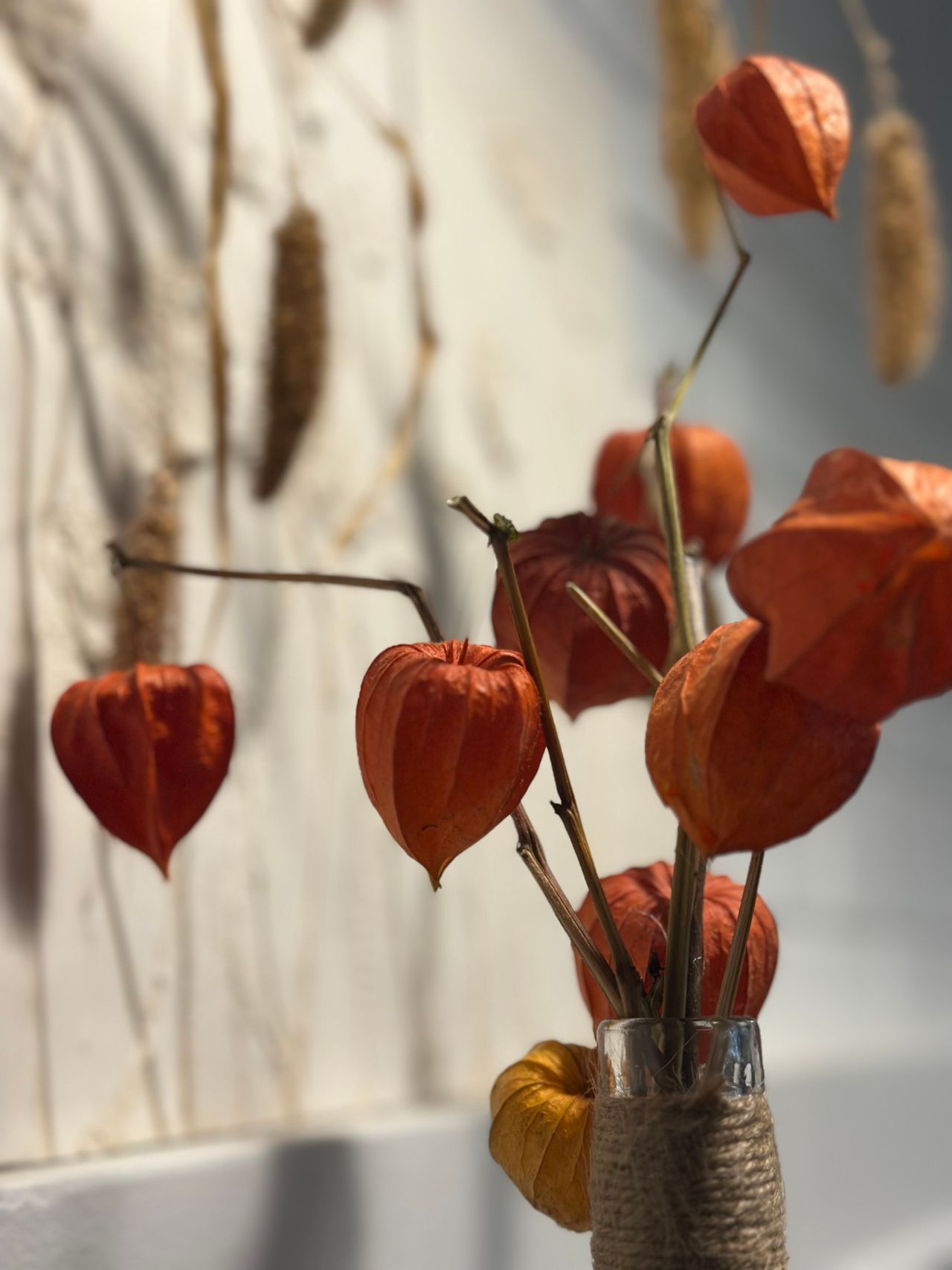 Close-up of orange chinese lantern stems in a twine-wrapped glass vase