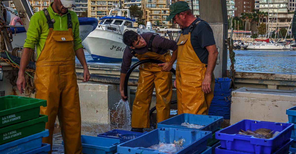 Mauritania: RSE que promueve pesca responsable y desarrollo de comunidades costeras Mauritania: RSE que promueve pesca responsable y desarrollo de comunidades costeras