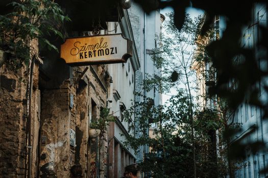 Ruin bar crawl with a local — Budapest