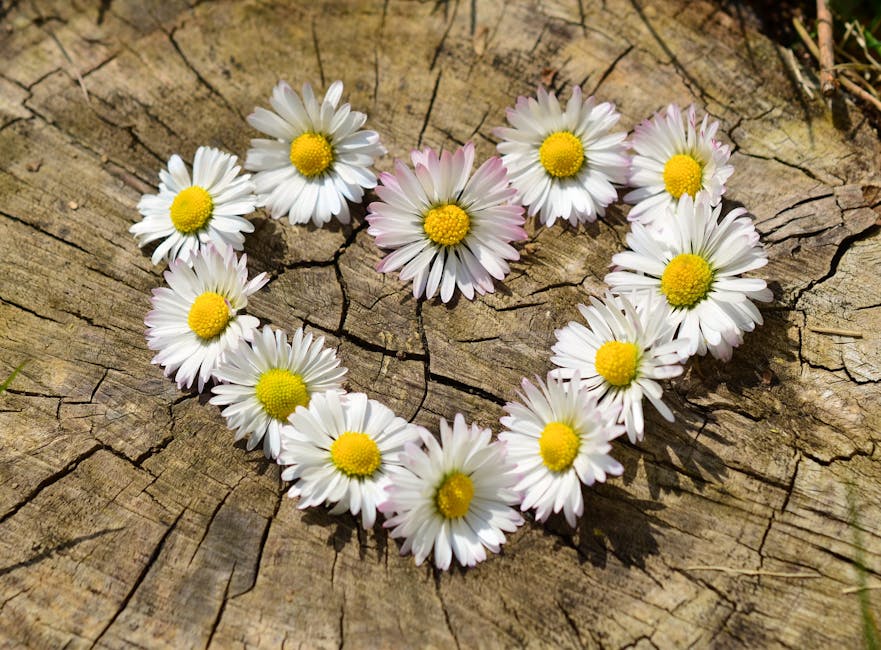 White Flowers