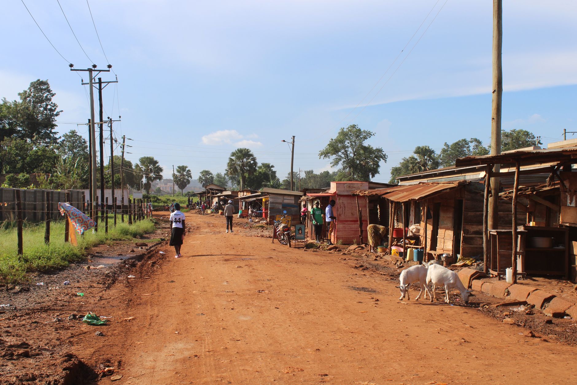 Bundibugyo Ebola outbreak remains active in DRC and Uganda