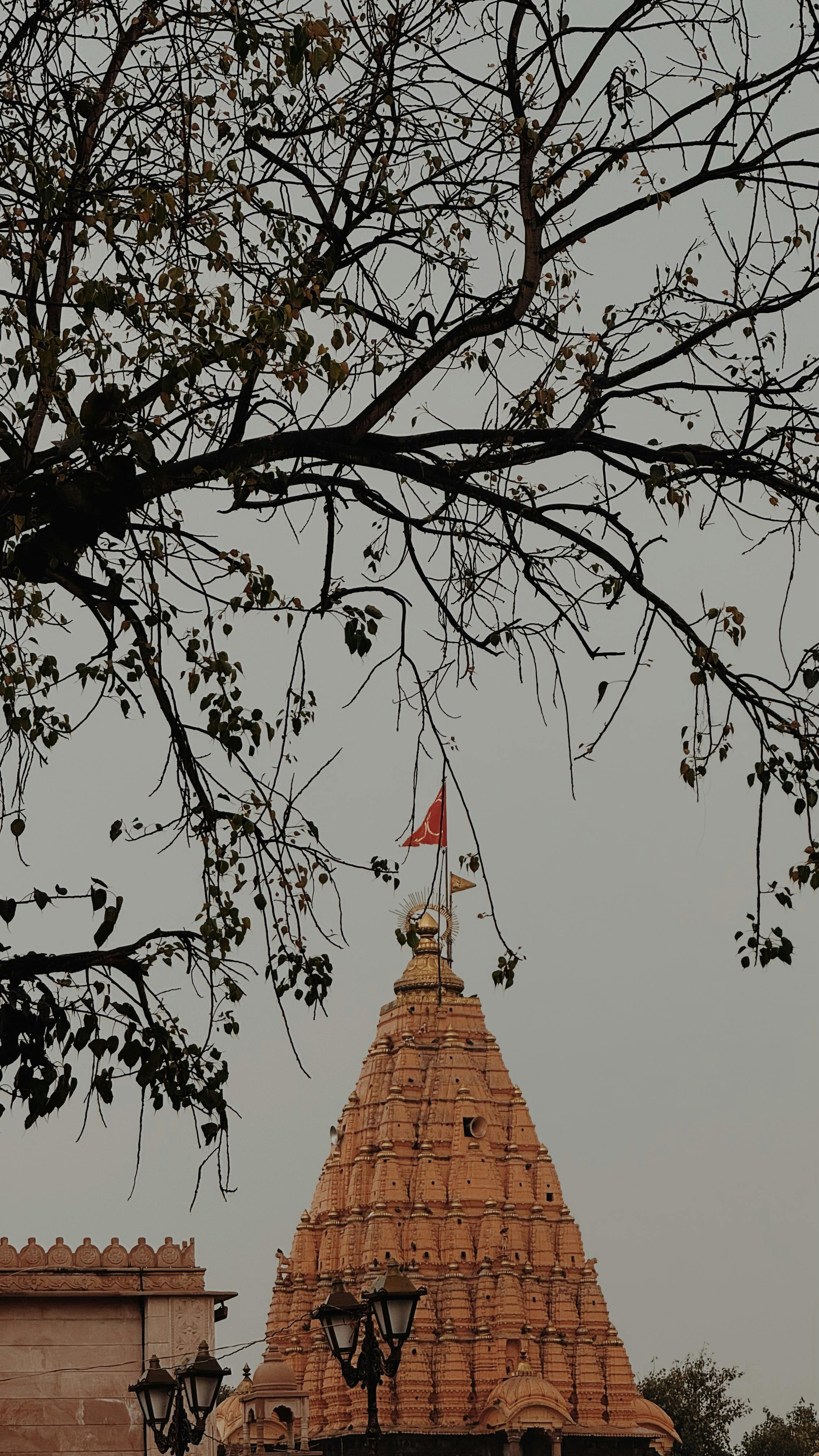 Ancient Madhya Pradesh - Image 3