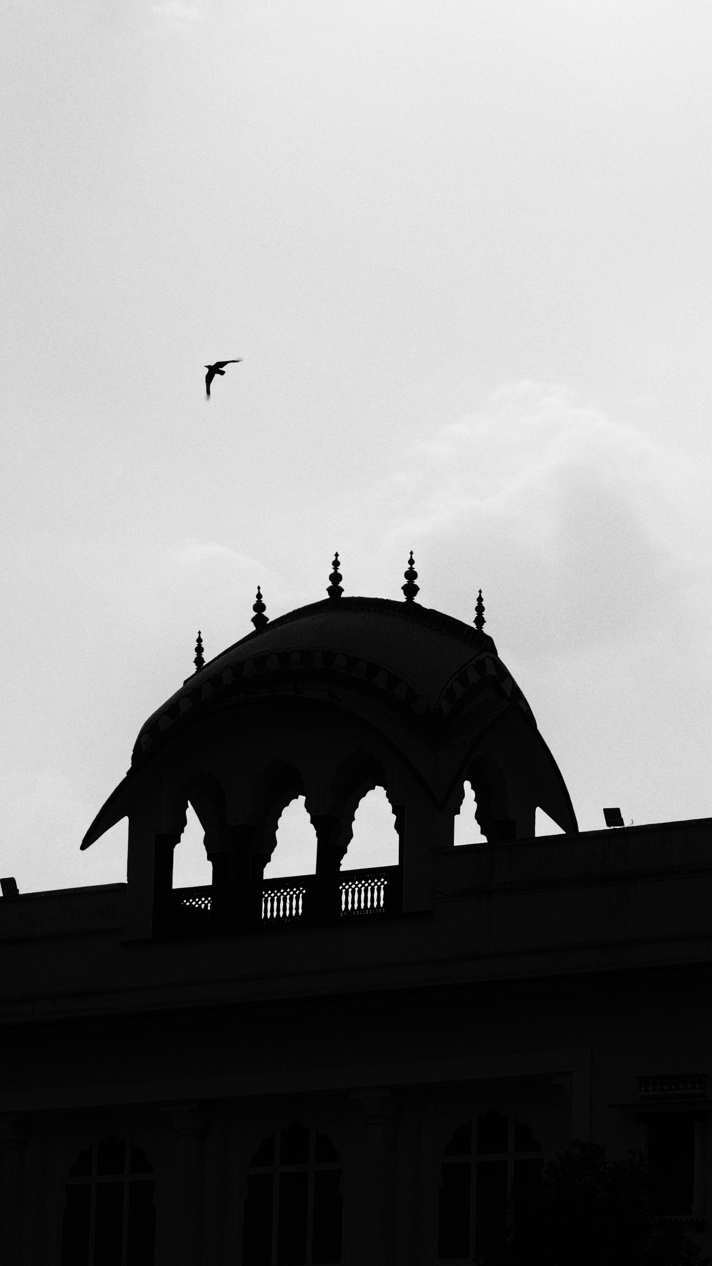 Bezpłatne Czarno-białe zdjęcie przedstawiające ptaka lecącego nad tradycyjną indyjską kopułą architektoniczną na tle zachmurzonego nieba. Zdjęcie z galerii