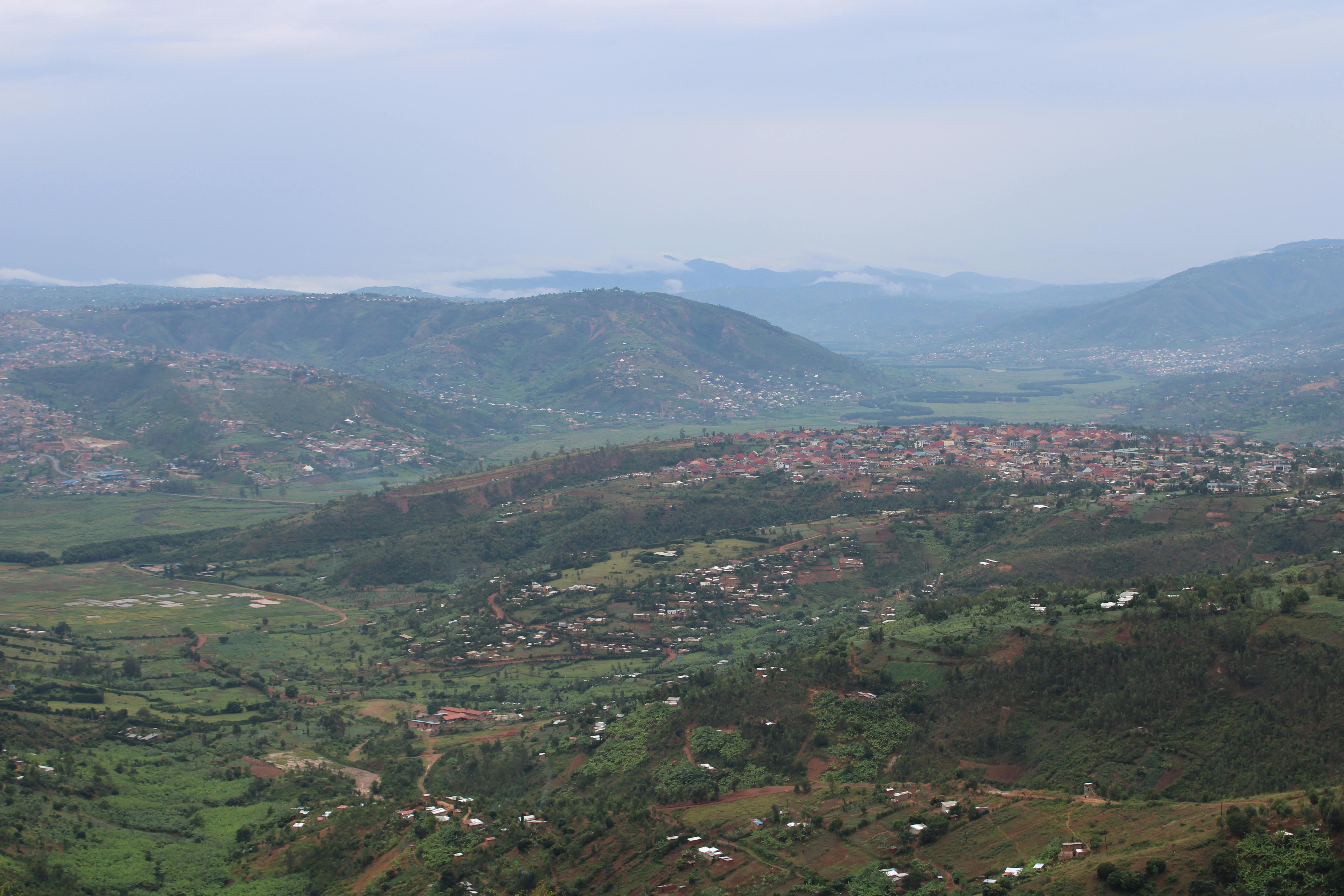 ‘Who looks more like a pig?