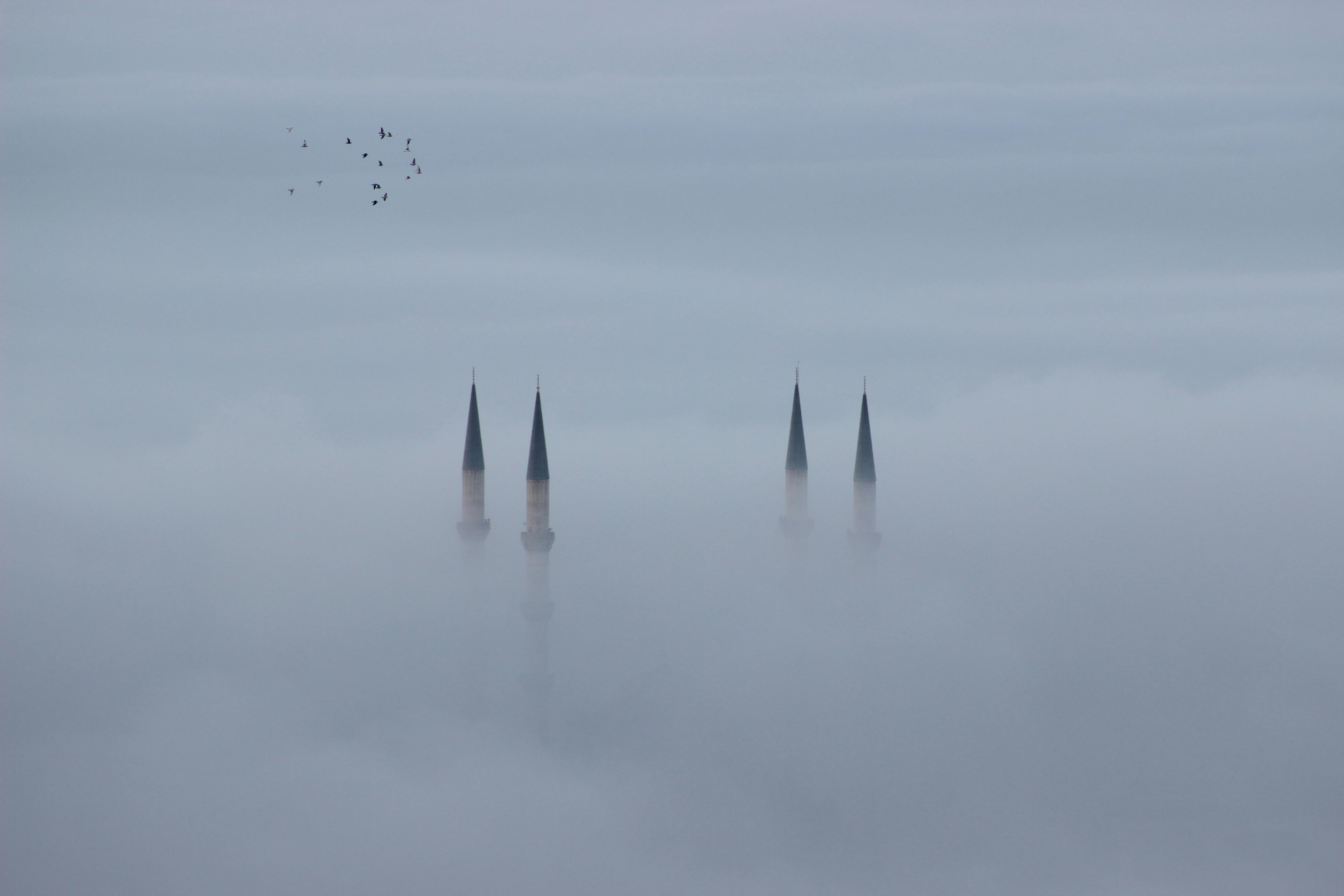 Gratuit Turlele unei clădiri se zăresc prin ceața densă, cu păsări în zbor, creând o scenă mistică. Fotografie de stoc