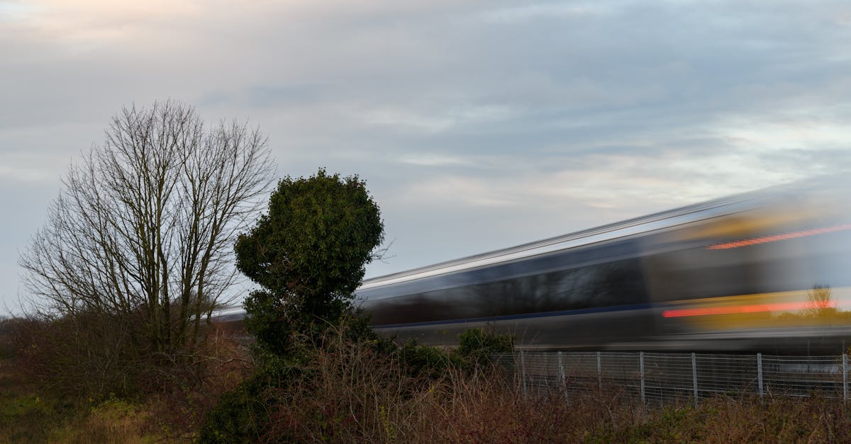 Comparativa: Viajar en Tren vs Avión en Europa