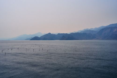 Free Breathtaking view of the tranquil waters and rugged mountains of Musandam, Oman, captured at dusk. Stock Photo