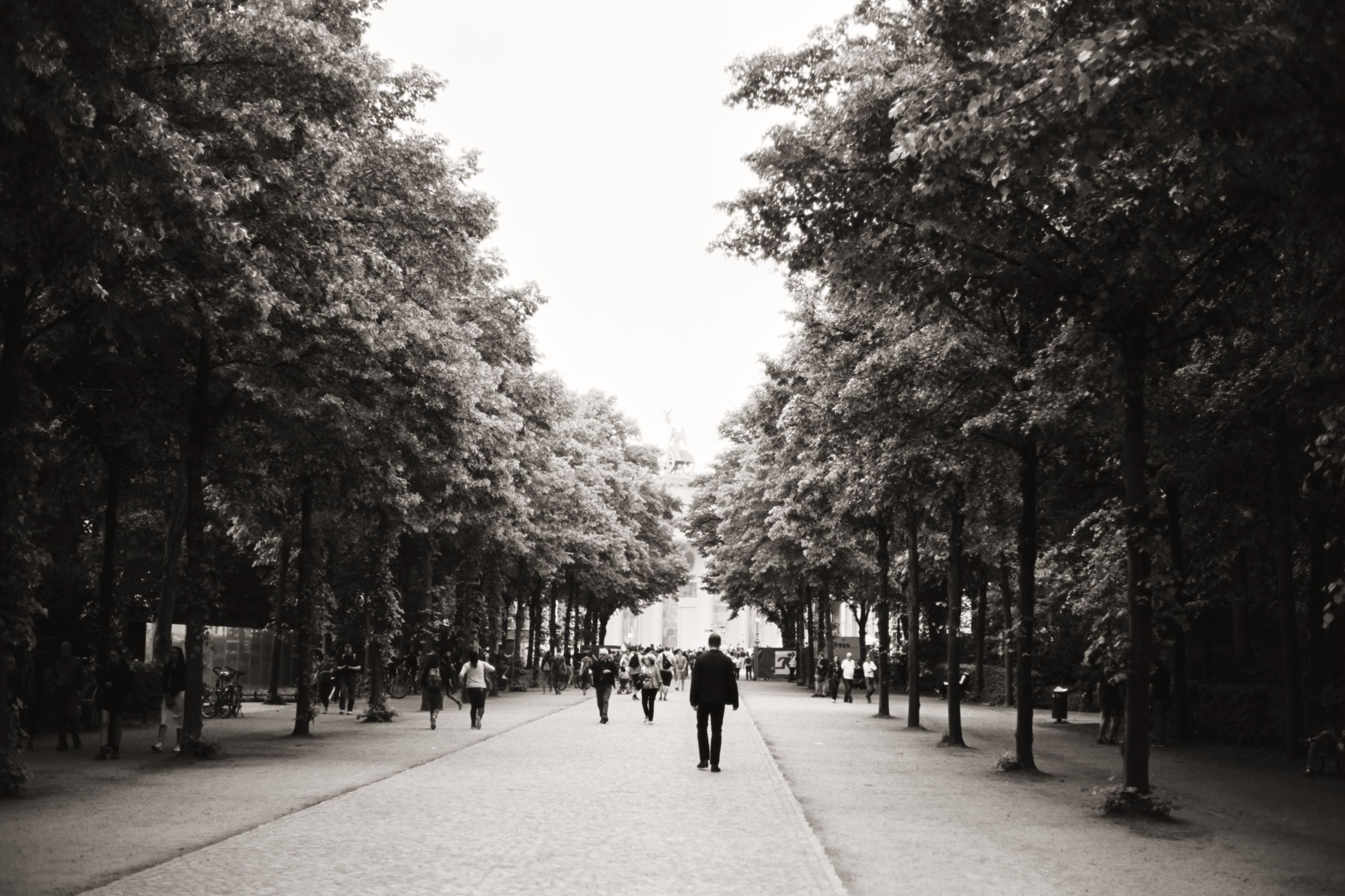 Black and white scene of people walking along a tree-lined pathway in a city park.