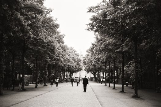 Black and white scene of people walking along a tree-lined pathway in a city park.
