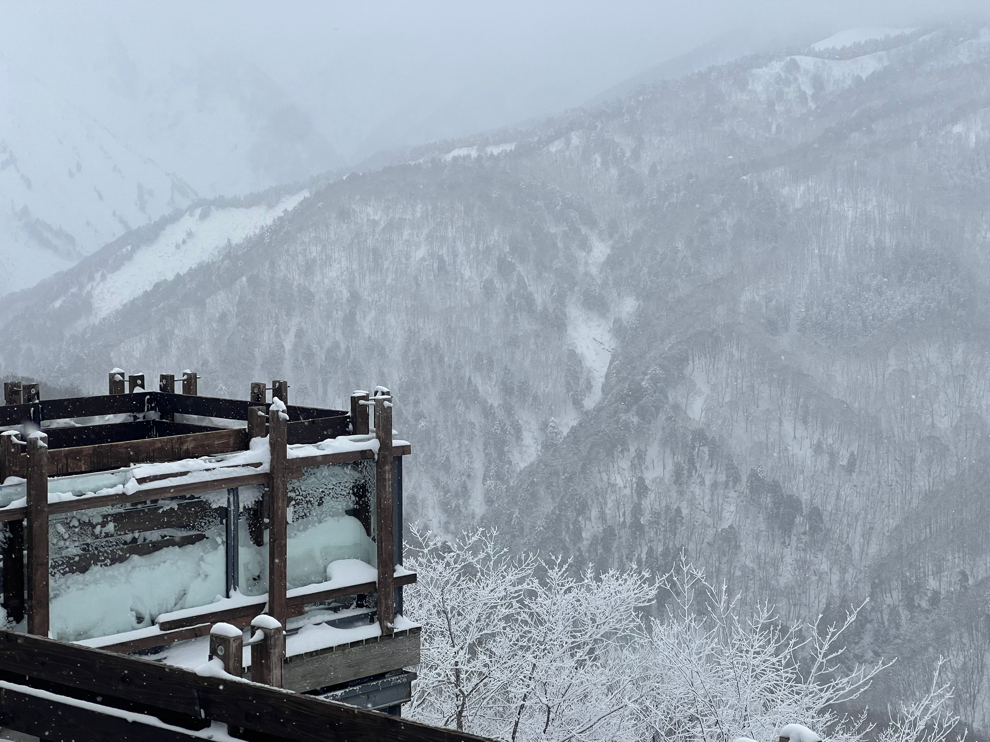 Snow-covered trees on steep mountainsides under low cloud, with a snow-covered wooden deck with glass panels in the foreground